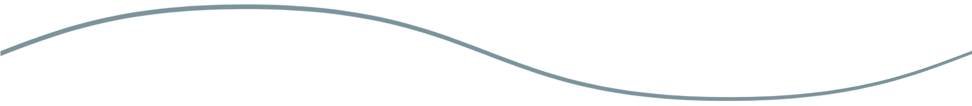 segmentation_divider