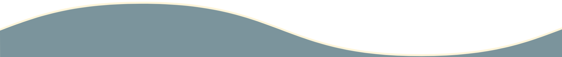 White background with a blue wavy line at the bottom.