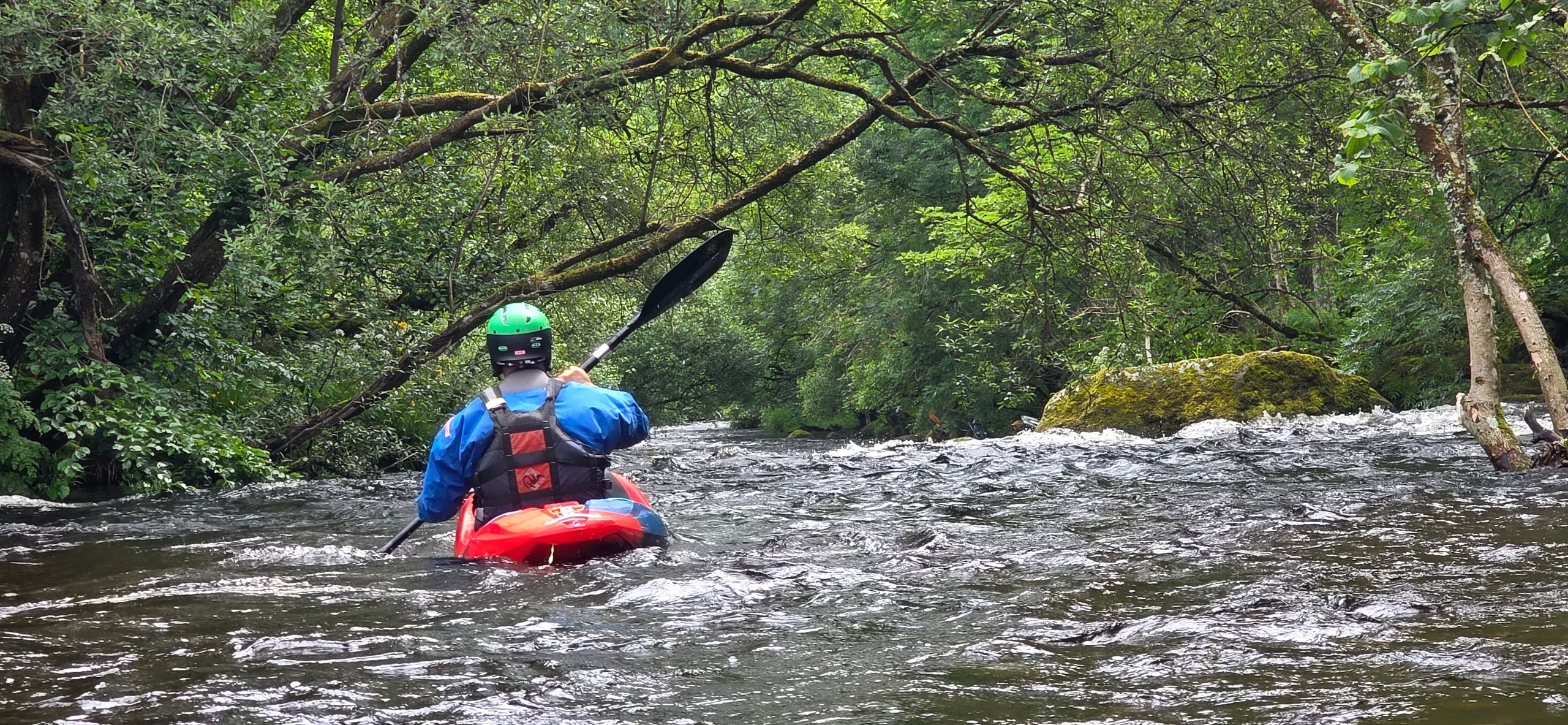 Person kayaking on a river surrounded by dense green trees.