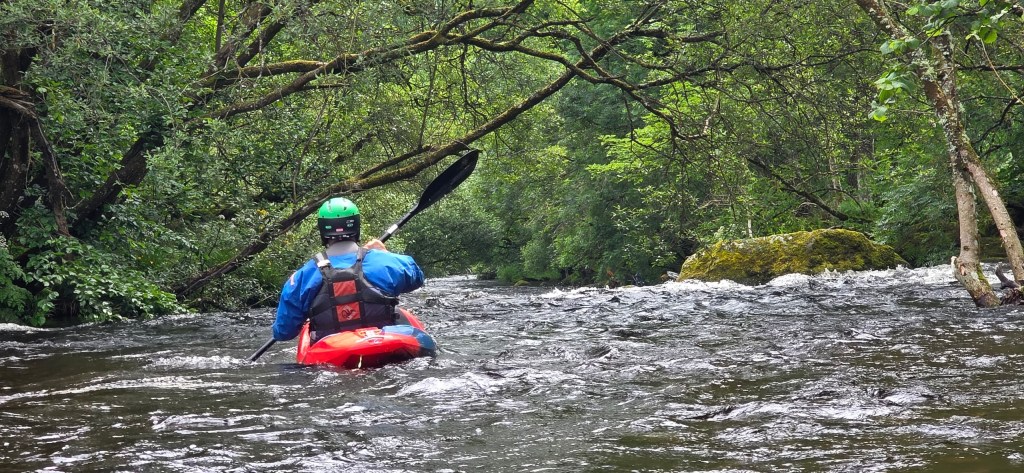 Person kayaking on a river surrounded by dense green trees.