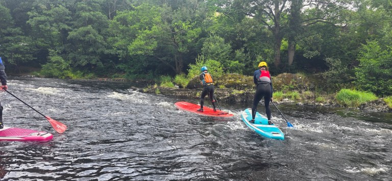 People paddleboarding on a river surrounded by trees.