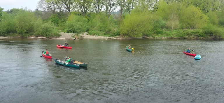 Several canoes with people paddling on a river surrounded by greenery.